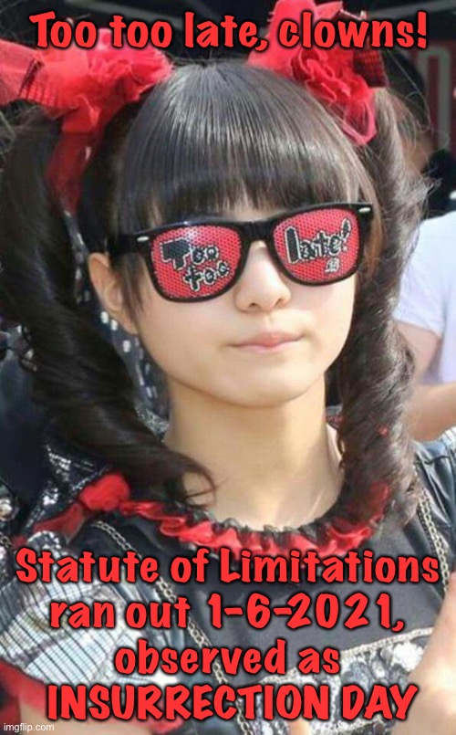 To the chuckleheads still hoping to overturn the 2020 election | Too too late, clowns! Statute of Limitations 
ran out 1-6-2021, 
observed as 
INSURRECTION DAY | image tagged in too too late | made w/ Imgflip meme maker