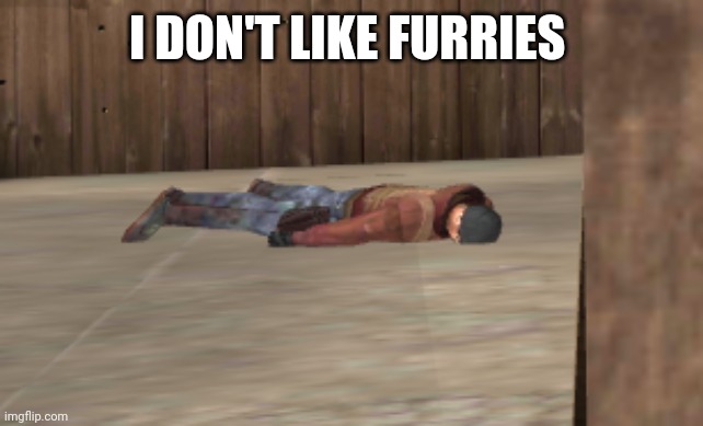 dead | I DON'T LIKE FURRIES | image tagged in dead | made w/ Imgflip meme maker