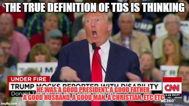 Trump Mocking Disabled | THE TRUE DEFINITION OF TDS IS THINKING; HE WAS A GOOD PRESIDENT, A GOOD FATHER, A GOOD HUSBAND, A GOOD MAN, A CHRISTIAN, ETC ETC | image tagged in trump mocking disabled | made w/ Imgflip meme maker