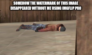 dead | SOMEHOW THE WATERMARK OF THIS IMAGE DISAPPEARED WITHOUT ME USING IMGFLIP PRO | image tagged in dead | made w/ Imgflip meme maker