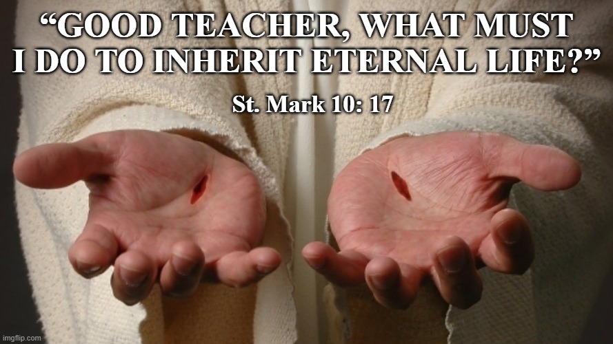 True Icon | “GOOD TEACHER, WHAT MUST I DO TO INHERIT ETERNAL LIFE?”; St. Mark 10: 17 | image tagged in bible,eternal life,christ | made w/ Imgflip meme maker