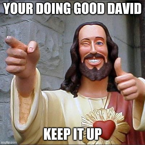 jesus | YOUR DOING GOOD DAVID; KEEP IT UP | image tagged in memes,buddy christ | made w/ Imgflip meme maker
