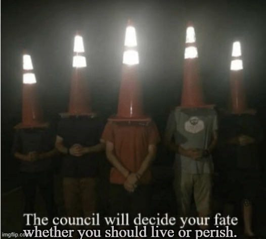 The council will decide your fate | whether you should live or perish. | image tagged in the council will decide your fate | made w/ Imgflip meme maker
