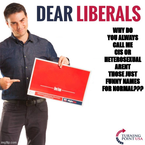 ben is a jew but he is good for meme template | WHY DO YOU ALWAYS CALL ME CIS OR HETEROSEXUAL ARENT THOSE JUST FUNNY NAMES FOR NORMAL??? | image tagged in dear liberals | made w/ Imgflip meme maker