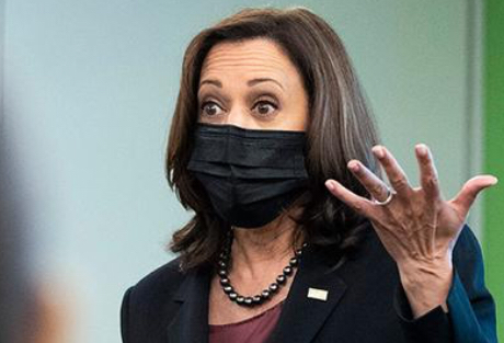 Kamala what Blank Meme Template