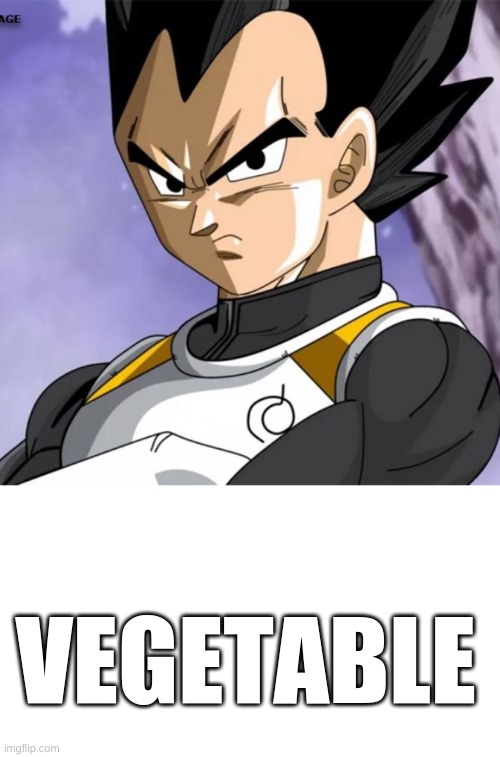 Vegeta | VEGETABLE | image tagged in heheh,why is the rum gone,why are you reading this | made w/ Imgflip meme maker