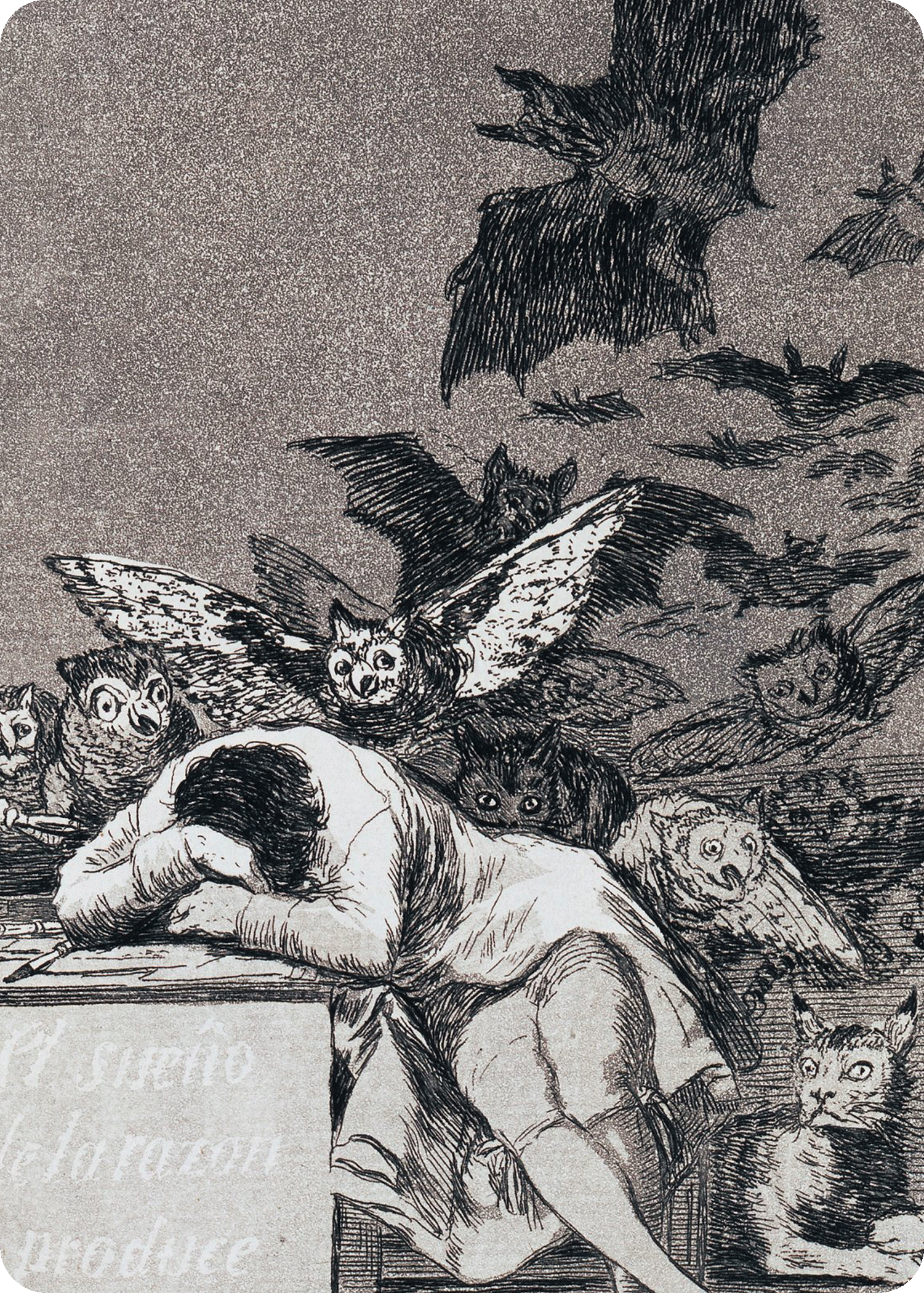 YOLO Blank Meme Template