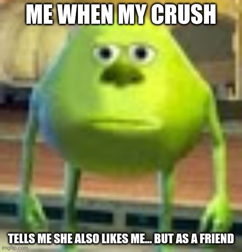 Crush T-T | ME WHEN MY CRUSH; TELLS ME SHE ALSO LIKES ME... BUT AS A FRIEND | image tagged in sully wazowski | made w/ Imgflip meme maker