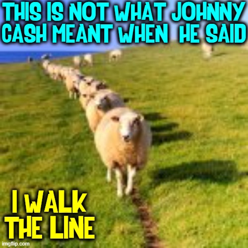 Cash was talkin' 'bout being true, not following AOC, Pelosi & Biden | THIS IS NOT WHAT JOHNNY CASH MEANT WHEN  HE SAID; I WALK THE LINE | image tagged in vince vance,johnny cash,i walk the line,followers,sheeple,sheep | made w/ Imgflip meme maker