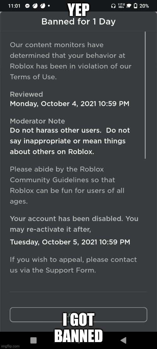 Yep | YEP; I GOT BANNED | image tagged in roblox triggered | made w/ Imgflip meme maker