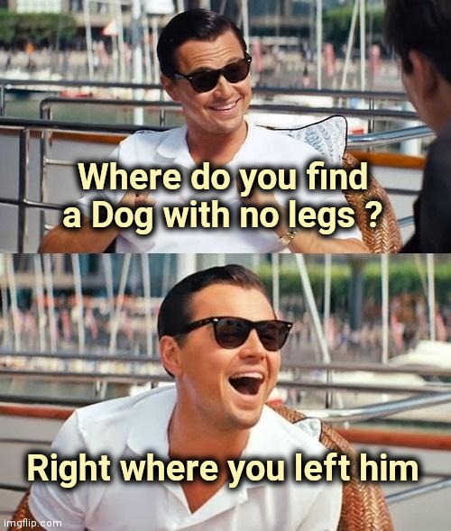Leonardo Dicaprio Wolf Of Wall Street Meme | Where do you find a Dog with no legs ? Right where you left him | image tagged in memes,leonardo dicaprio wolf of wall street | made w/ Imgflip meme maker