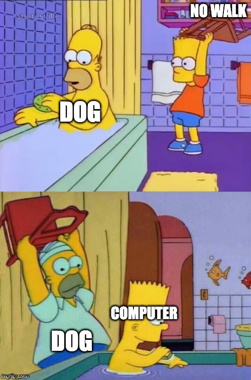 Homer revenge | NO WALK DOG DOG COMPUTER | image tagged in homer revenge | made w/ Imgflip meme maker