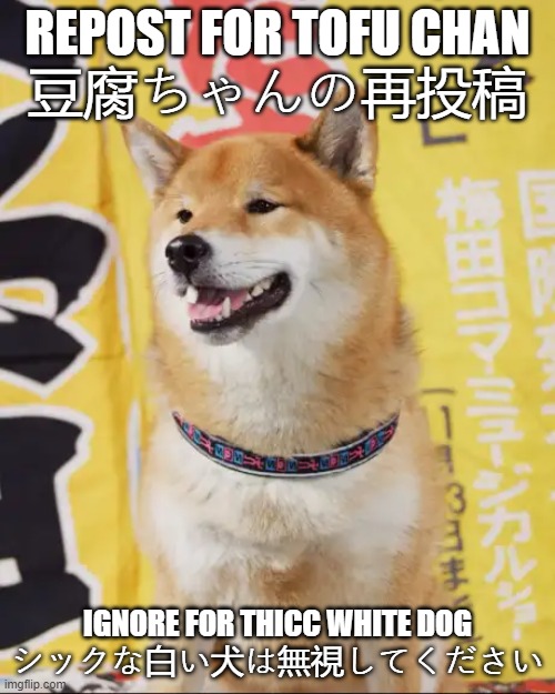 REPOST FOR TOFU CHAN
豆腐ちゃんの再投稿; IGNORE FOR THICC WHITE DOG

シックな白い犬は無視してください | made w/ Imgflip meme maker