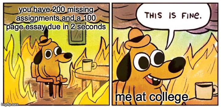This Is Fine Meme | you have 200 missing assignments and a 100 page essay due in 2 seconds; me at college | image tagged in memes,this is fine | made w/ Imgflip meme maker