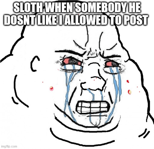 SLOTH WHEN SOMEBODY HE DOSNT LIKE I ALLOWED TO POST | made w/ Imgflip meme maker