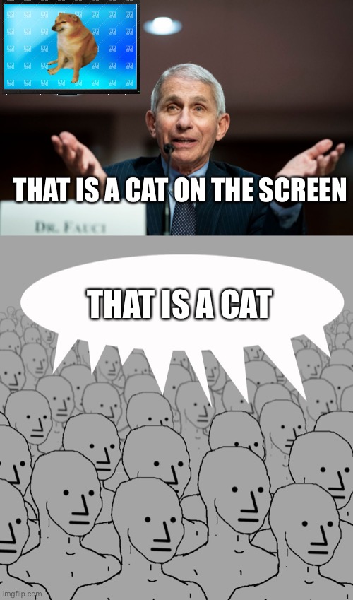 some people are mindless and listen to whatever Fauci says | THAT IS A CAT ON THE SCREEN; THAT IS A CAT | image tagged in fauci,npc-crowd | made w/ Imgflip meme maker