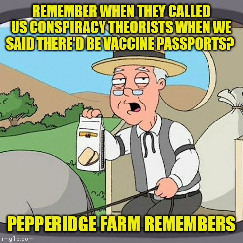 How things change |  REMEMBER WHEN THEY CALLED US CONSPIRACY THEORISTS WHEN WE SAID THERE'D BE VACCINE PASSPORTS? PEPPERIDGE FARM REMEMBERS | image tagged in memes,pepperidge farm remembers,covid vaccine | made w/ Imgflip meme maker