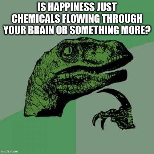 Philosoraptor Meme | IS HAPPINESS JUST CHEMICALS FLOWING THROUGH YOUR BRAIN OR SOMETHING MORE? | image tagged in memes,philosoraptor | made w/ Imgflip meme maker