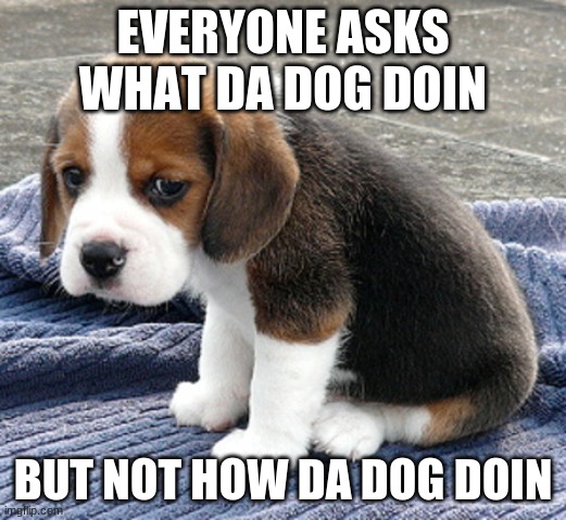 How da dog doin | EVERYONE ASKS WHAT DA DOG DOIN; BUT NOT HOW DA DOG DOIN | image tagged in sad dog | made w/ Imgflip meme maker