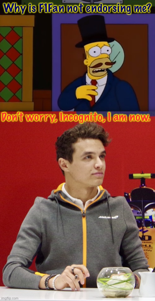 IG has my endorsement, but I would vote Wubbzy if IG was off the table. | Why is F1Fan not endorsing me? Don’t worry, Incognito, I am now. | image tagged in guy incognito,lando norris announcement | made w/ Imgflip meme maker