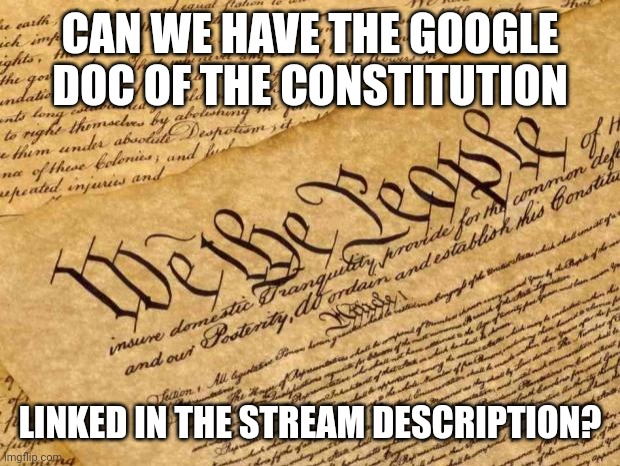 E | CAN WE HAVE THE GOOGLE DOC OF THE CONSTITUTION; LINKED IN THE STREAM DESCRIPTION? | image tagged in constitution | made w/ Imgflip meme maker
