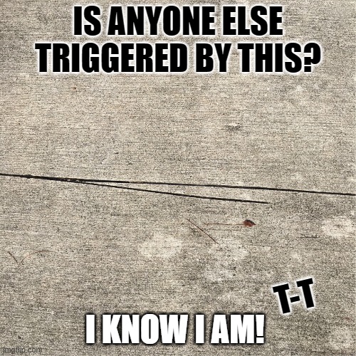Triggering | IS ANYONE ELSE TRIGGERED BY THIS? I KNOW I AM! T-T | image tagged in triggered | made w/ Imgflip meme maker
