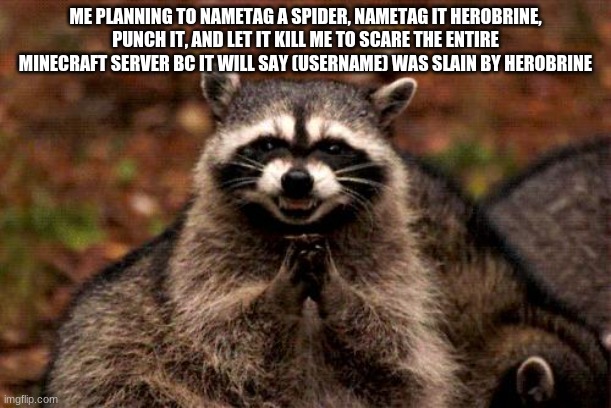 Hehe | ME PLANNING TO NAMETAG A SPIDER, NAMETAG IT HEROBRINE, PUNCH IT, AND LET IT KILL ME TO SCARE THE ENTIRE MINECRAFT SERVER BC IT WILL SAY (USERNAME) WAS SLAIN BY HEROBRINE | image tagged in memes,evil plotting raccoon | made w/ Imgflip meme maker