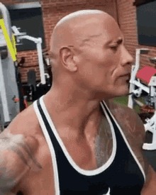 The Rock Eyebrows Blank Template - Imgflip