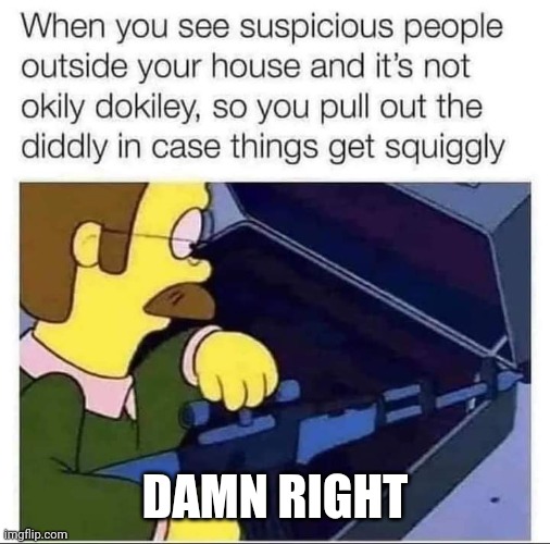 DAMN RIGHT | image tagged in ned flanders,simpsons,crime | made w/ Imgflip meme maker