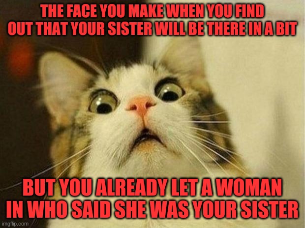 mlem | THE FACE YOU MAKE WHEN YOU FIND OUT THAT YOUR SISTER WILL BE THERE IN A BIT; BUT YOU ALREADY LET A WOMAN IN WHO SAID SHE WAS YOUR SISTER | image tagged in memes,scared cat | made w/ Imgflip meme maker