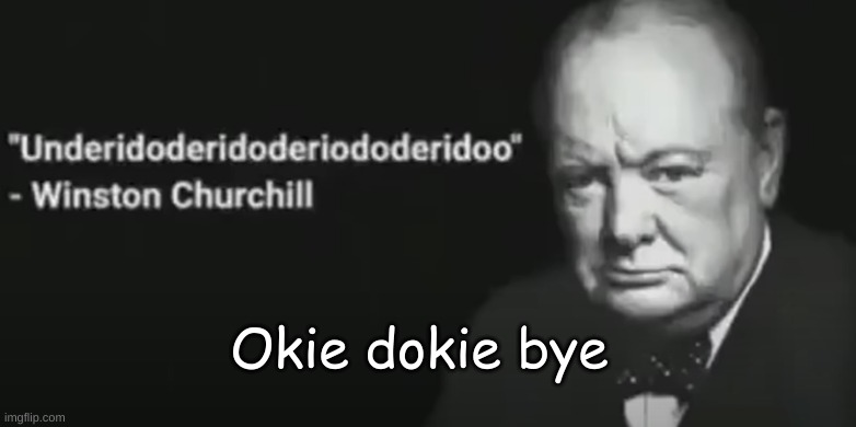 Wise words | Okie dokie bye | image tagged in wise words | made w/ Imgflip meme maker