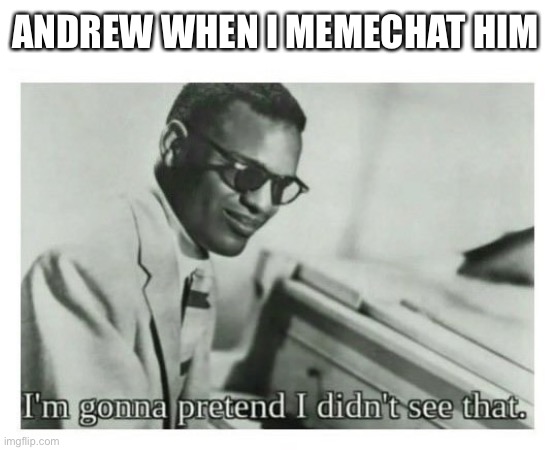 I'm gonna pretend I didn't see that | ANDREW WHEN I MEMECHAT HIM | image tagged in i'm gonna pretend i didn't see that | made w/ Imgflip meme maker