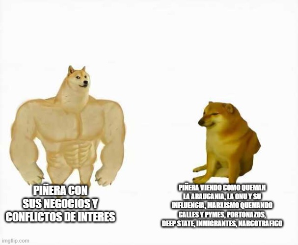 5p8bbe.jpg