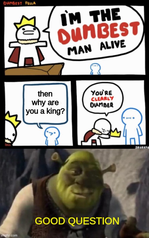mm | then why are you a king? GOOD QUESTION | image tagged in i'm the dumbest man alive | made w/ Imgflip meme maker