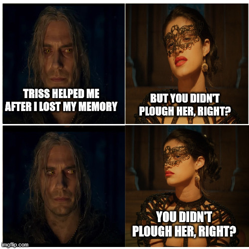 Geralt & Yen reunion | BUT YOU DIDN'T PLOUGH HER, RIGHT? TRISS HELPED ME AFTER I LOST MY MEMORY; YOU DIDN'T PLOUGH HER, RIGHT? | image tagged in the witcher - for the better right,yennefer,the witcher,witcher,geralt of rivia,netflix | made w/ Imgflip meme maker