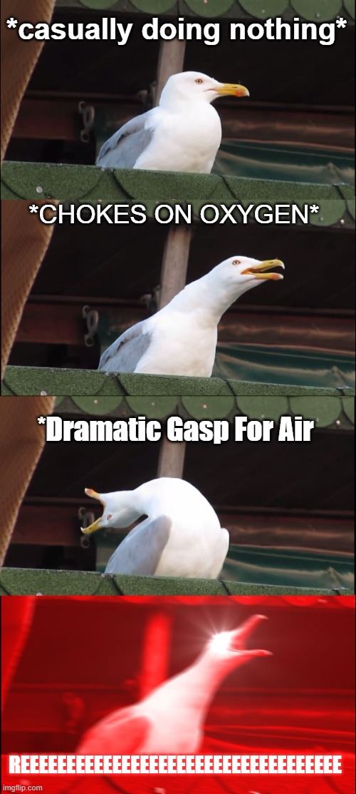 Choking on Nothing | *casually doing nothing*; *CHOKES ON OXYGEN*; *Dramatic Gasp For Air; REEEEEEEEEEEEEEEEEEEEEEEEEEEEEEEEEEE | image tagged in memes,inhaling seagull | made w/ Imgflip meme maker