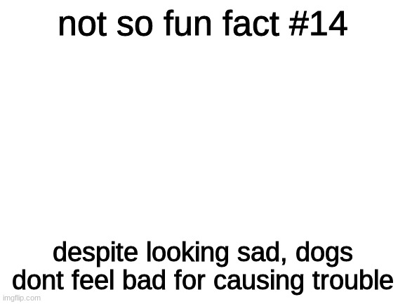 souless beings | not so fun fact #14; despite looking sad, dogs dont feel bad for causing trouble | image tagged in blank white template | made w/ Imgflip meme maker