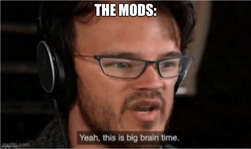 Bruh | THE MODS: | image tagged in bruh | made w/ Imgflip meme maker