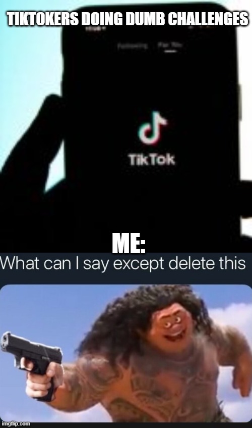 Me when I hear about a new dumb tiktok challenge | TIKTOKERS DOING DUMB CHALLENGES; ME: | image tagged in what can i say except delete this | made w/ Imgflip meme maker