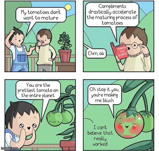 Tomatoes Mature | made w/ Imgflip meme maker