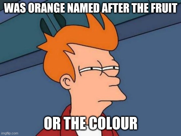 i am super scared | WAS ORANGE NAMED AFTER THE FRUIT; OR THE COLOUR | image tagged in memes,futurama fry | made w/ Imgflip meme maker