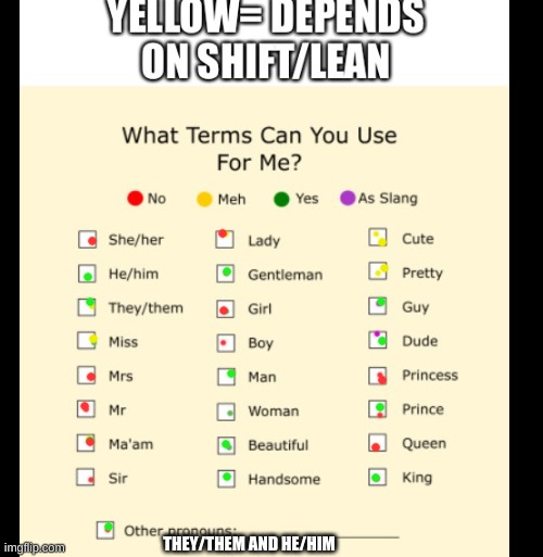 THEY/THEM AND HE/HIM | made w/ Imgflip meme maker