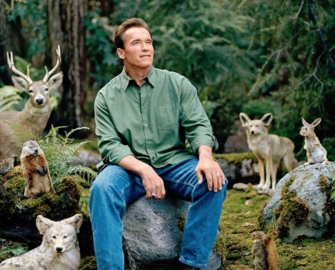 Arnold schwarzenegger nature meme