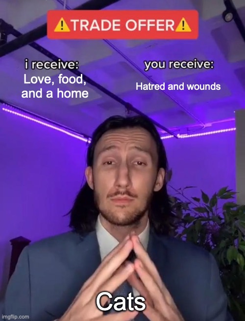 Trade Offer | Love, food, and a home; Hatred and wounds; Cats | image tagged in trade offer | made w/ Imgflip meme maker