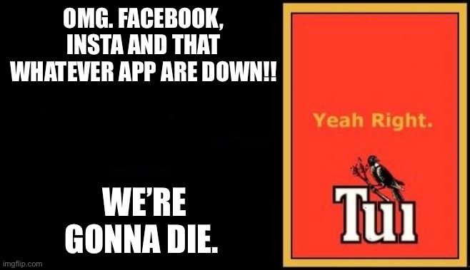 Tui |  OMG. FACEBOOK, INSTA AND THAT WHATEVER APP ARE DOWN!! WE’RE GONNA DIE. | image tagged in tui | made w/ Imgflip meme maker