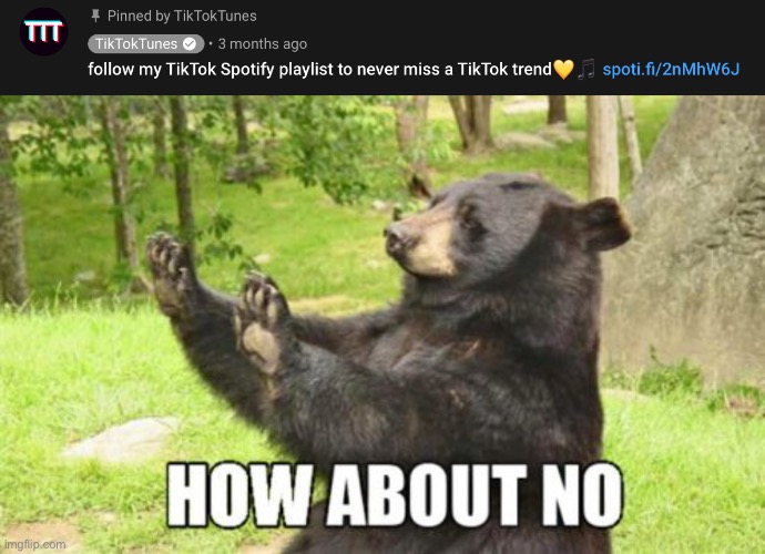 how about no | image tagged in memes,how about no bear,funny,tiktok,tiktok sucks | made w/ Imgflip meme maker