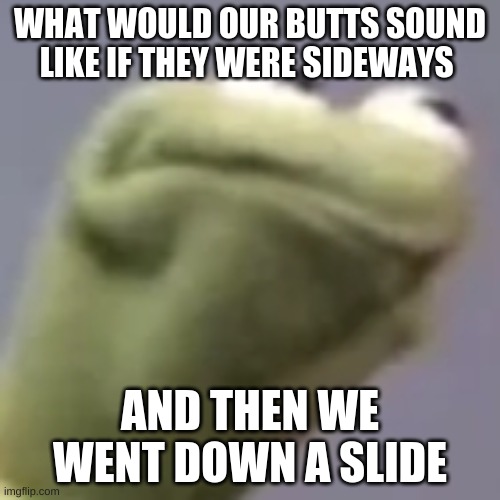Hmmm kermit | WHAT WOULD OUR BUTTS SOUND LIKE IF THEY WERE SIDEWAYS; AND THEN WE WENT DOWN A SLIDE | image tagged in hmmm kermit | made w/ Imgflip meme maker