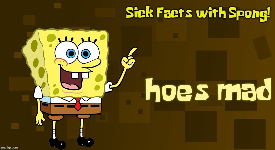 Sick Facts with Spong | hoes mad | image tagged in sick facts with spong | made w/ Imgflip meme maker