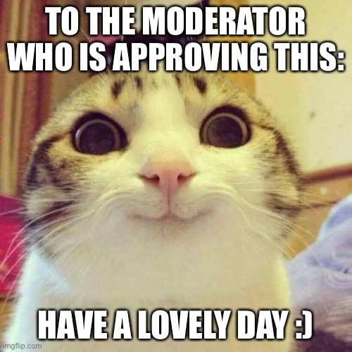 Have a nice day! | TO THE MODERATOR WHO IS APPROVING THIS:; HAVE A LOVELY DAY :) | image tagged in memes,smiling cat | made w/ Imgflip meme maker