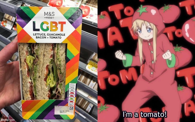 bacon tomato here | made w/ Imgflip meme maker